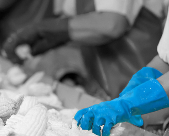 nitri tech gloves