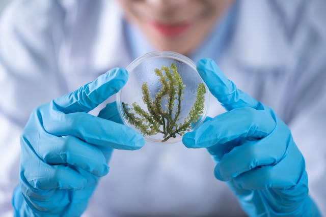 worldwidesciencestories.com innovative tech ventures
