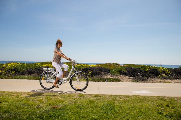 swagtron electric bike